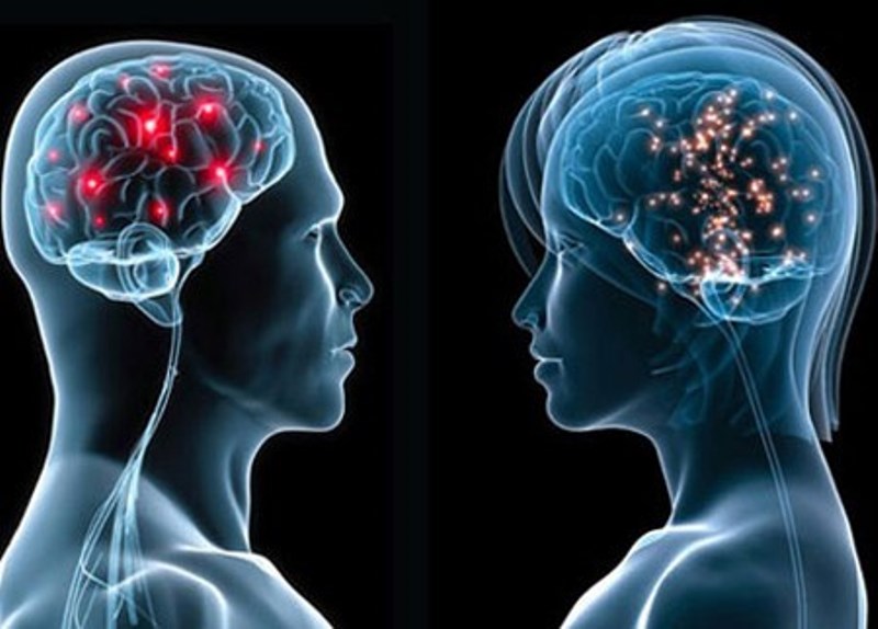 Il cervello delle donne è migliore in multitasking e intuizioni: tutte