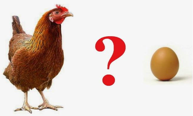 E' Nato prima l'Uovo o la Gallina? - Siciliafan