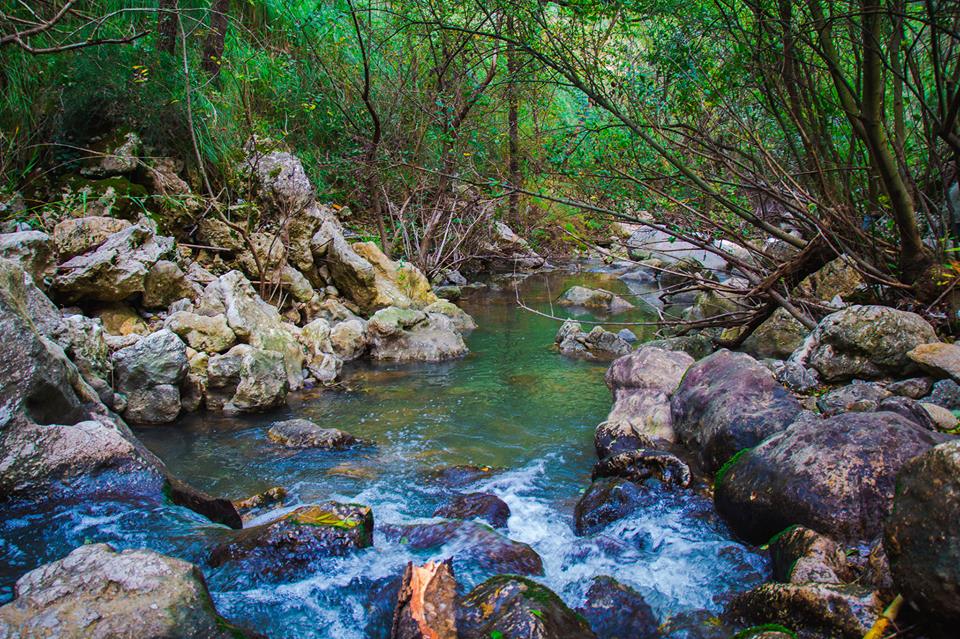 Luoghi Del Cuore FAI Ultime Ore Per Votare Il Fiume Oreto Siciliafan