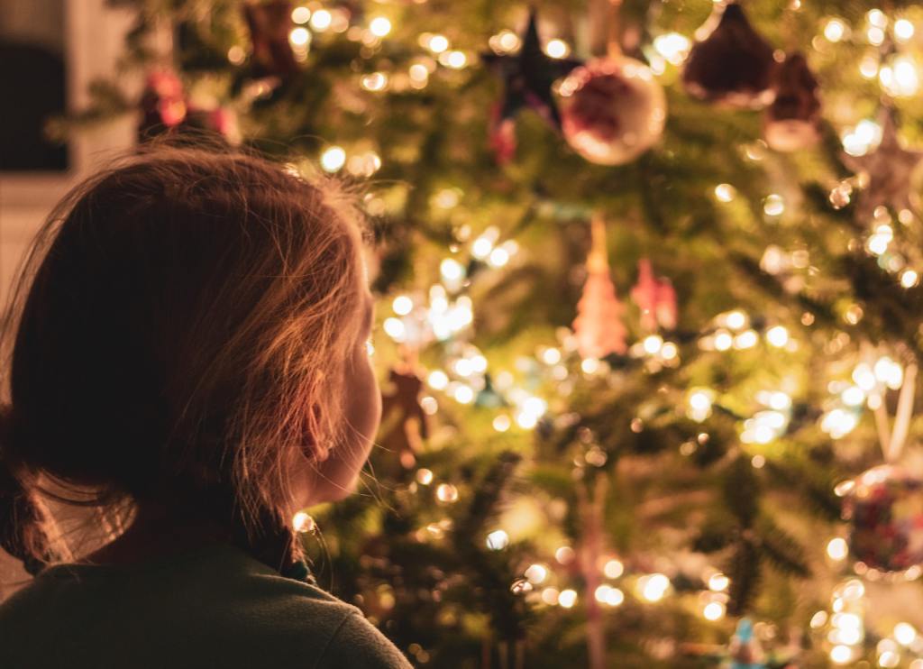 Abete dei Nebrodi, l'albero di Natale più raro del mondo