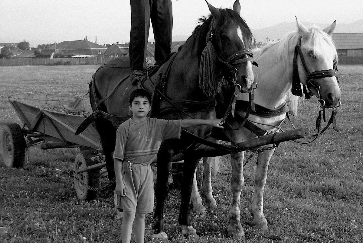 Caminanti Di Noto I Segreti Dei Siciliani Erranti Siciliafan Caminanti Di Noto I Segreti Dei Siciliani Erranti Siciliafan