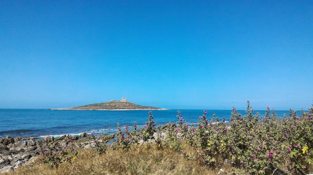 Oltre 40 anfore romane nel mare di Isola delle Femmine: recuperato un tesoro