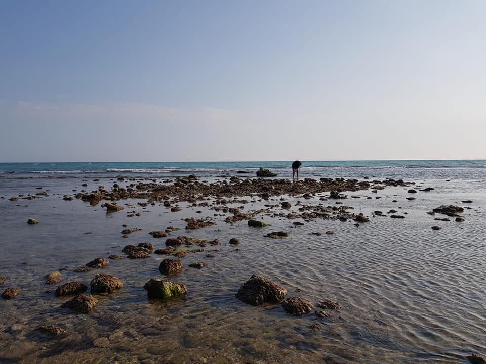 Eccezionale bassa marea, dopo due secoli riaffiora l'Isolotto di San Giorgio a Sciacca