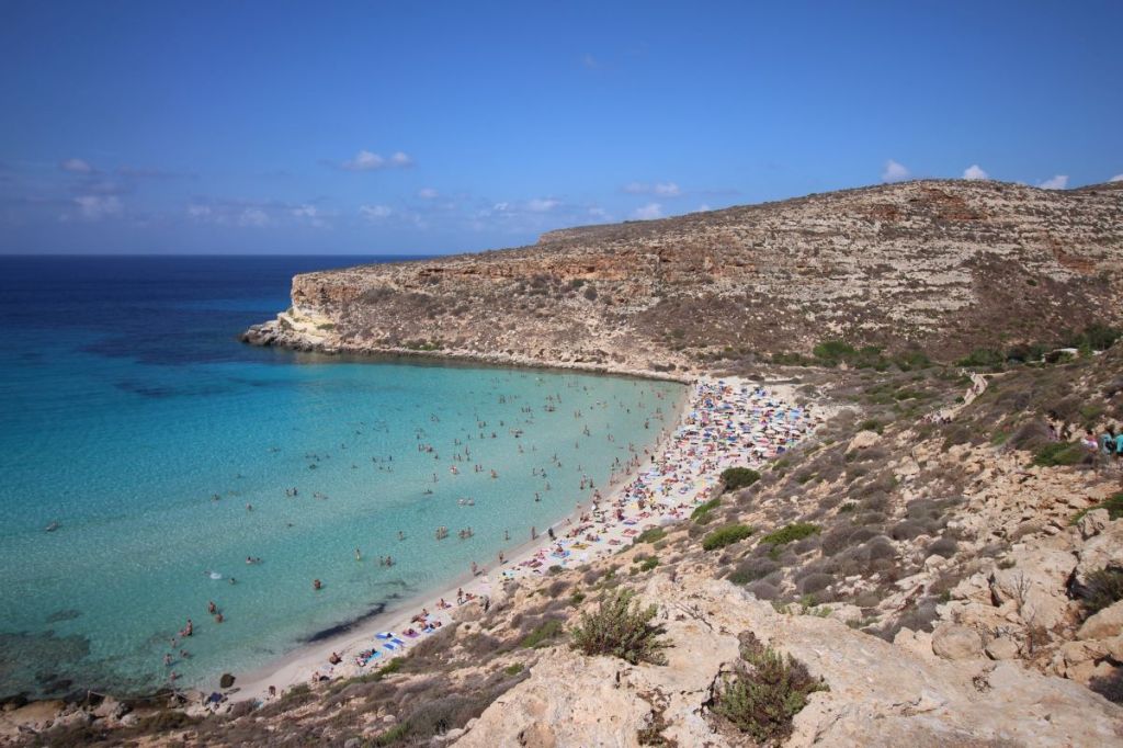 Lampedusa, le tartarughe Caretta caretta tornano a nidificare sulla Spiaggia dei Conigli
