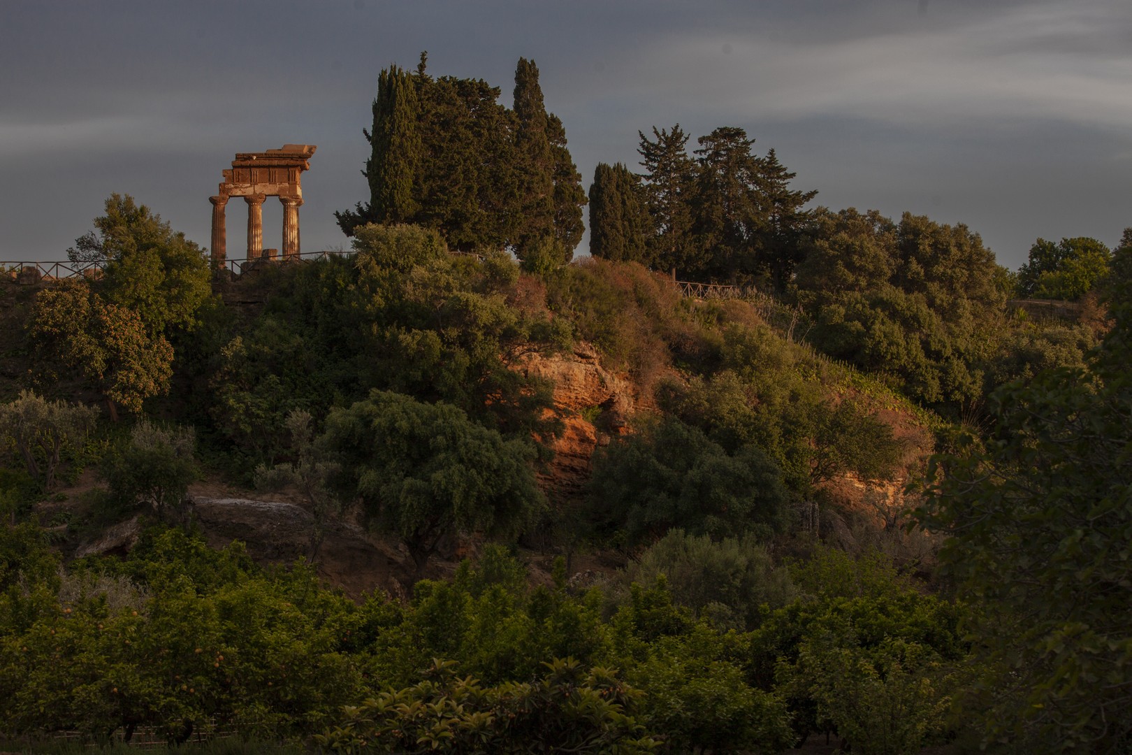 Agrigento, sere FAI d'estate al giardino della Kolymbethra, gli