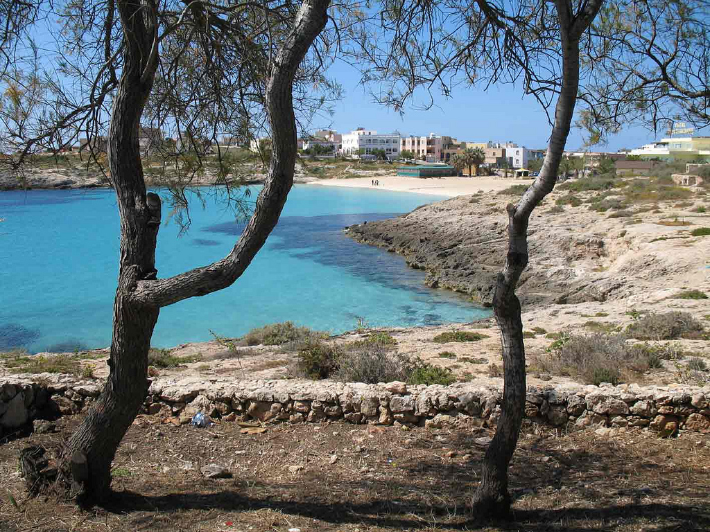 Lieto evento a Lampedusa: nascono i primi piccoli di Caretta caretta