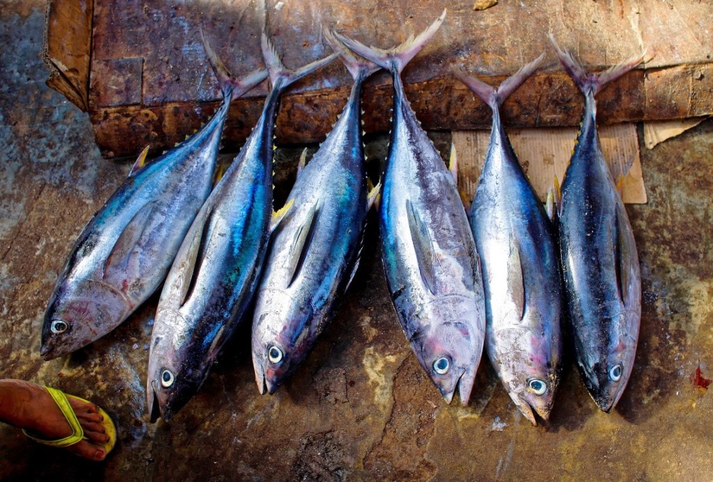 Pesca ad Arte, alla Kalsa di Palermo 10 metri di "tavola imperiale" per degustare il pesce locale