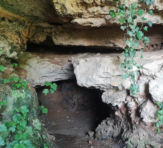 Riserva Naturale Grotta Conza