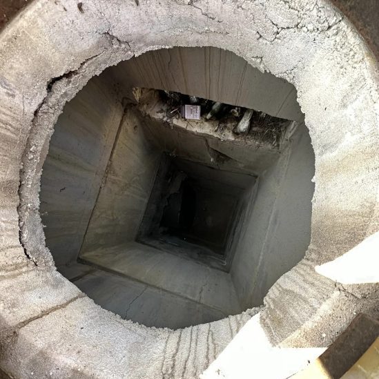 Cucciolo di cane caduto in un tombino