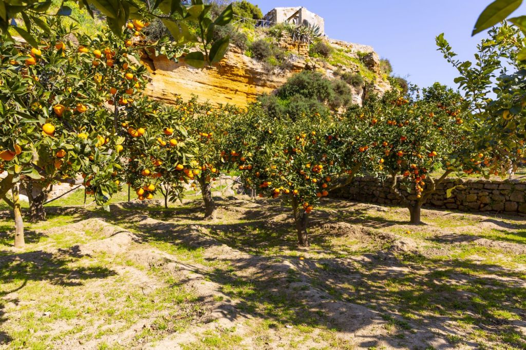 Il Guardian consiglia il Giardino della Kolymbethra di Agrigento: "Un'oasi di piante e agrumi"