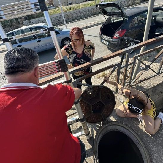 Cucciolo di cane caduto in un tombino