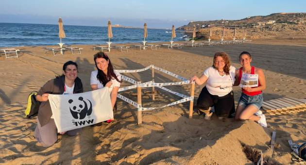 In Sicilia il primo nido di tartarughe del 2023