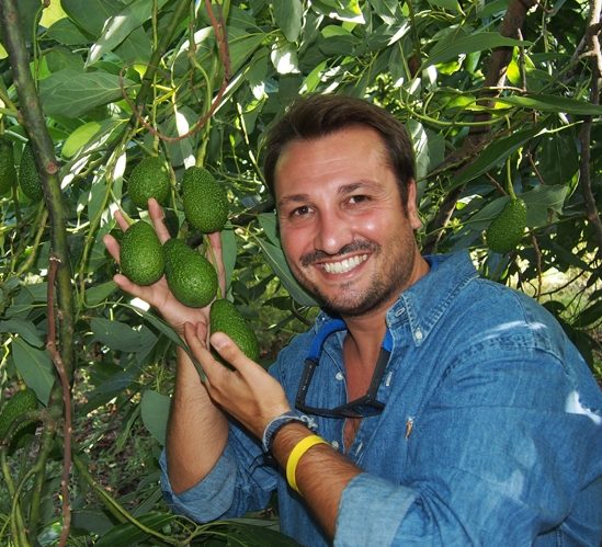 Sicilia Avocado- Andrea Passanisi