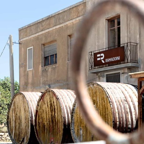 Vini Ramaddini