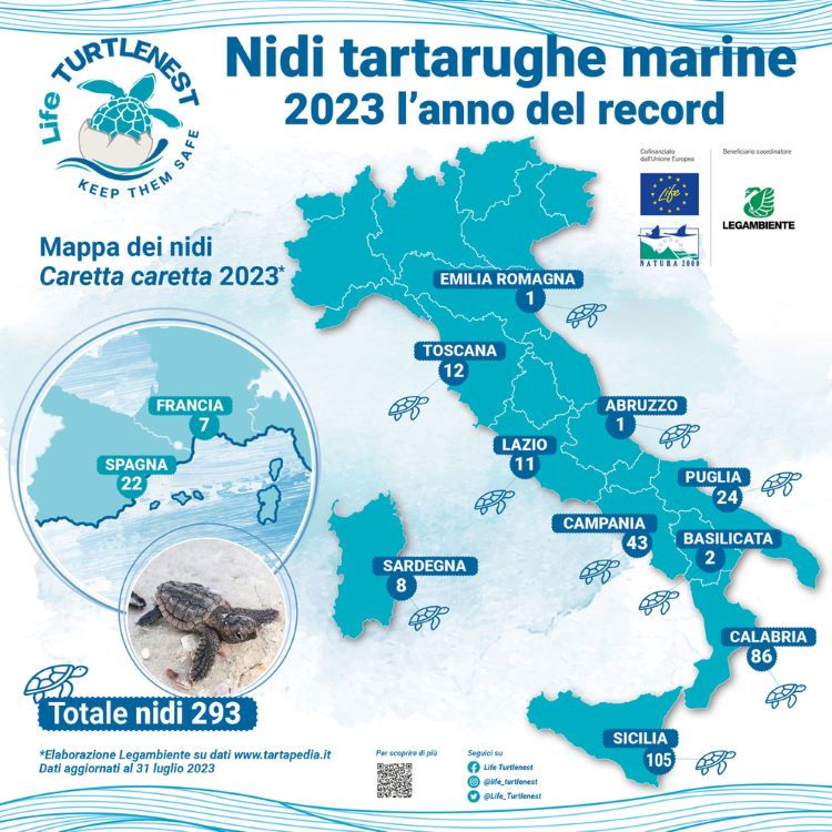 Nidi di tartarughe marine in Italia