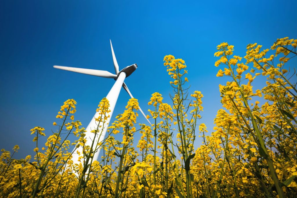 ERG completa e avvia un nuovo parco eolico a Roccapalumba: fornirà energia a Google