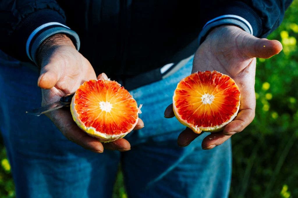 Arancia Rossa di Sicilia IGP Arancia Rossa di Sicilia IGP
