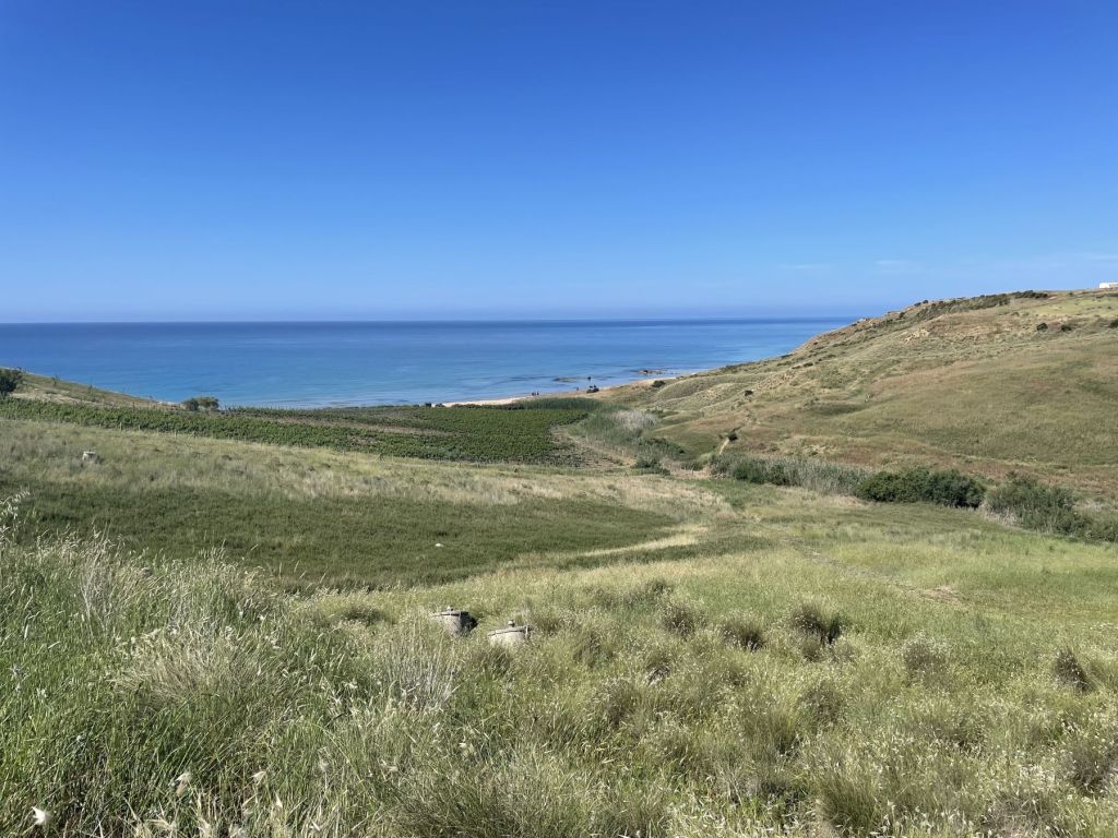 Inycon, 26ma edizione: a Menfi la Festa del Vino a Menfi dal 4 al 6 ottobre